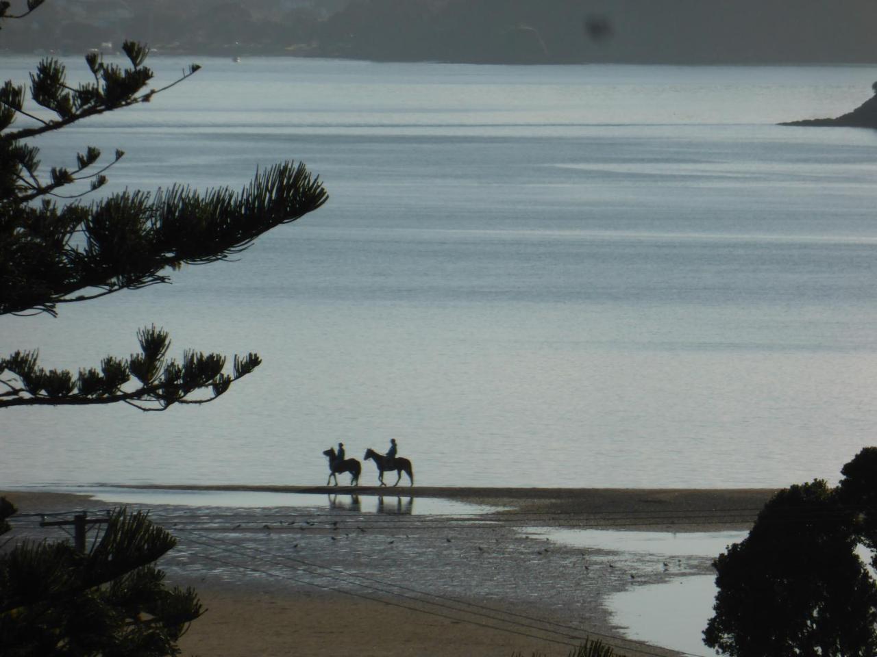 Changing Tides Bnb Paihia Exterior foto